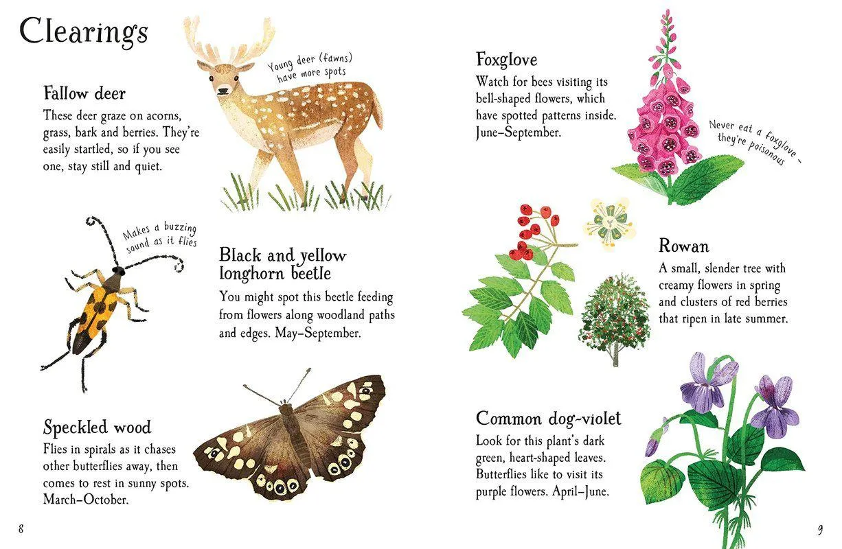 ■ Woodland Life to Spot