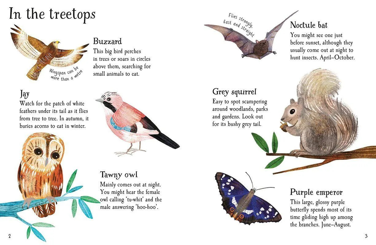 ■ Woodland Life to Spot