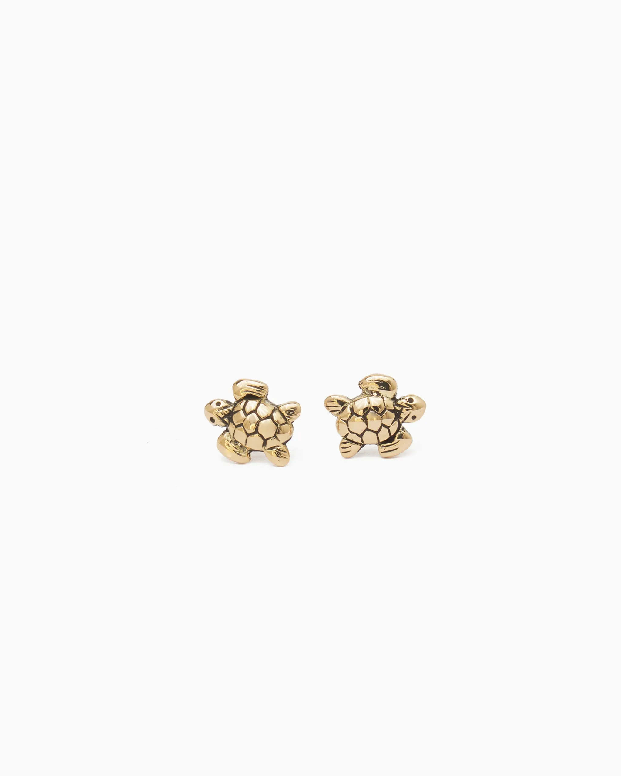 14K Gold Sea Turtle Studs