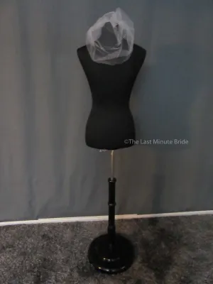 Bridal Veil: Picone VBI1205