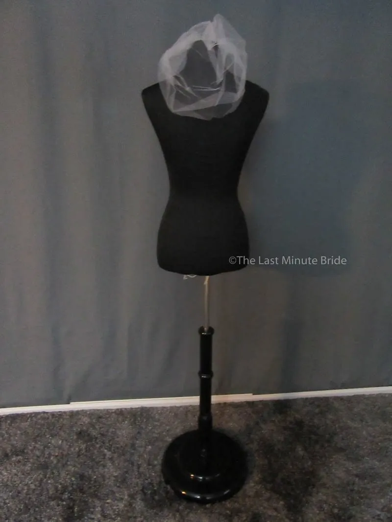 Bridal Veil: Picone VBI1205