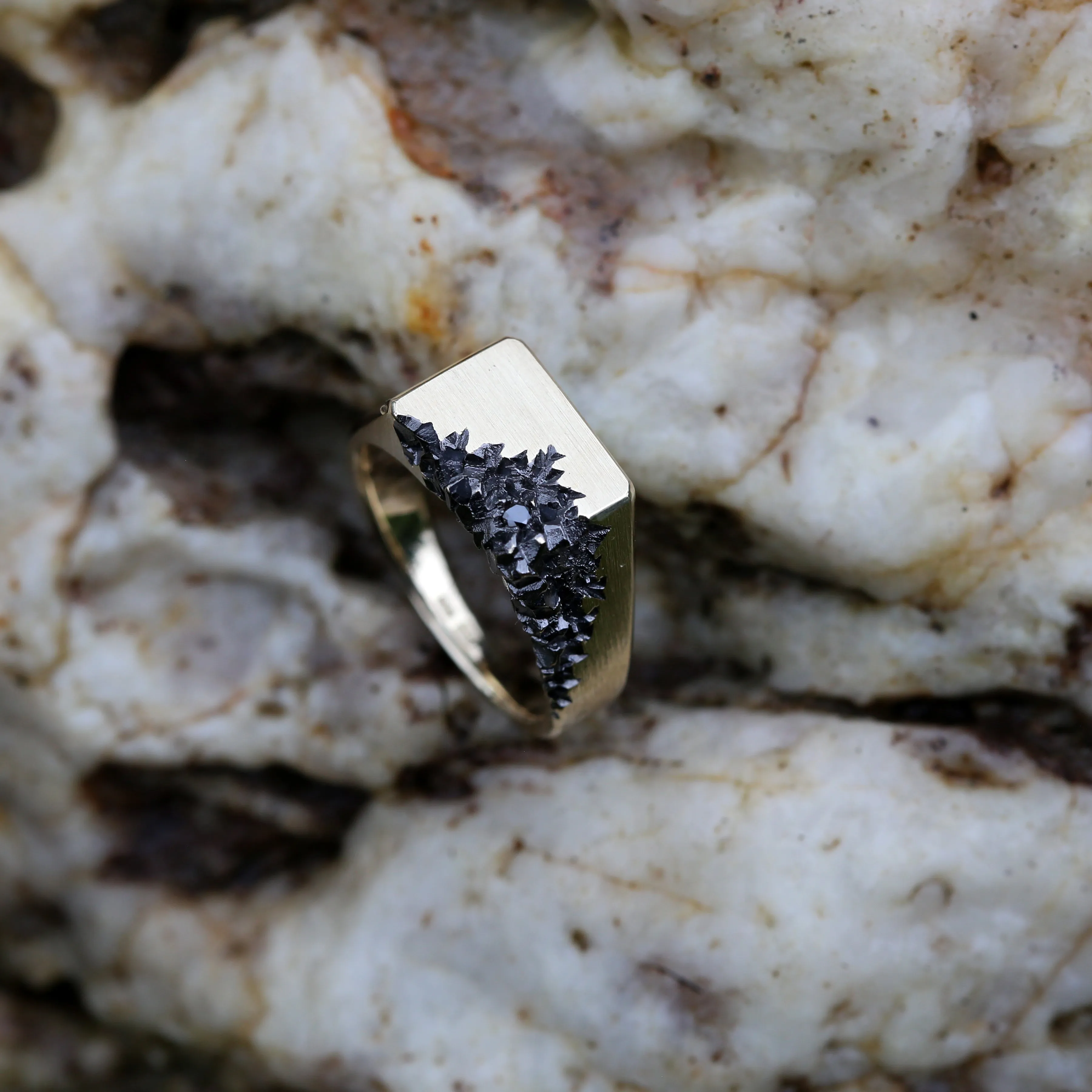 Carved in the Rock 14k yellow gold signet with black diamond