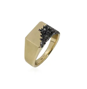 Carved in the Rock 14k yellow gold signet with black diamond