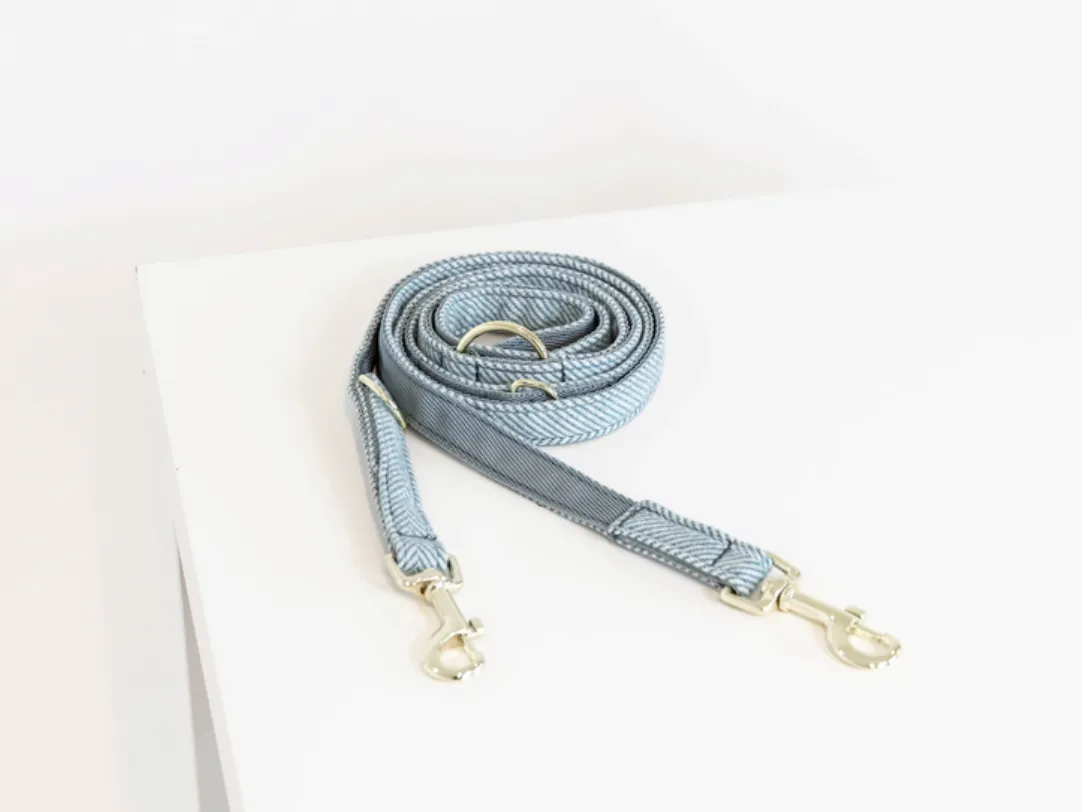 Kentucky dogwear Wool Lead