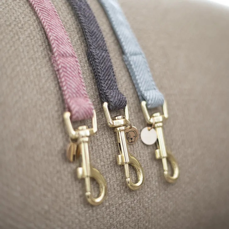 Kentucky dogwear Wool Lead