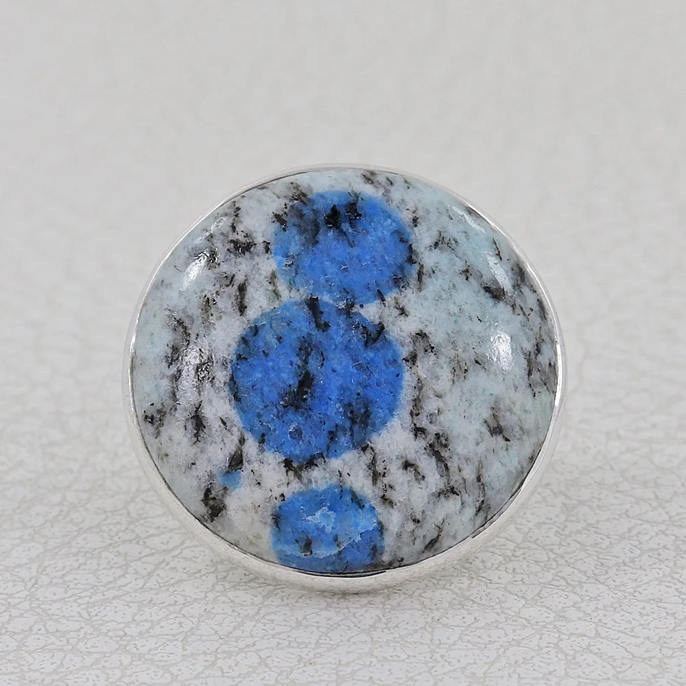 Ocean Jasper Statement Silver Ring