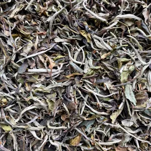 Organic Yunnan White