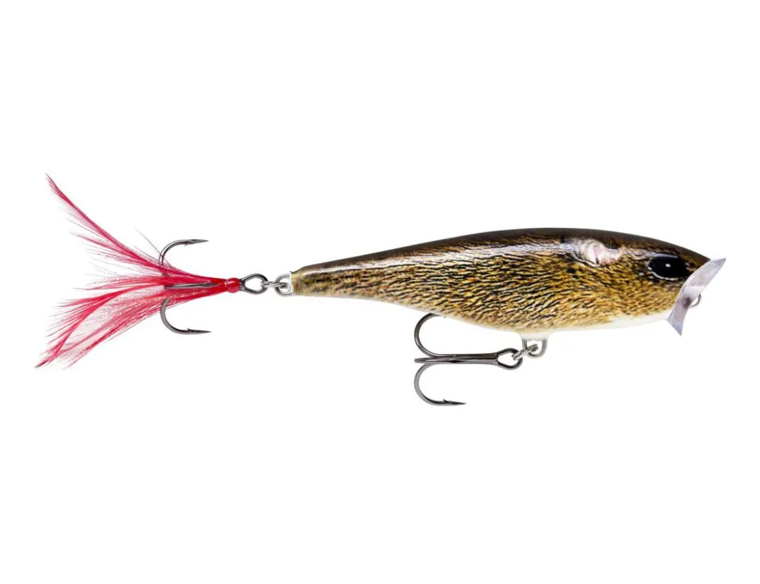 Rapala LIVE Series Skitter Pop