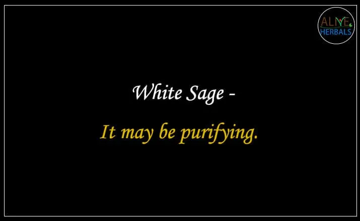 White Sage