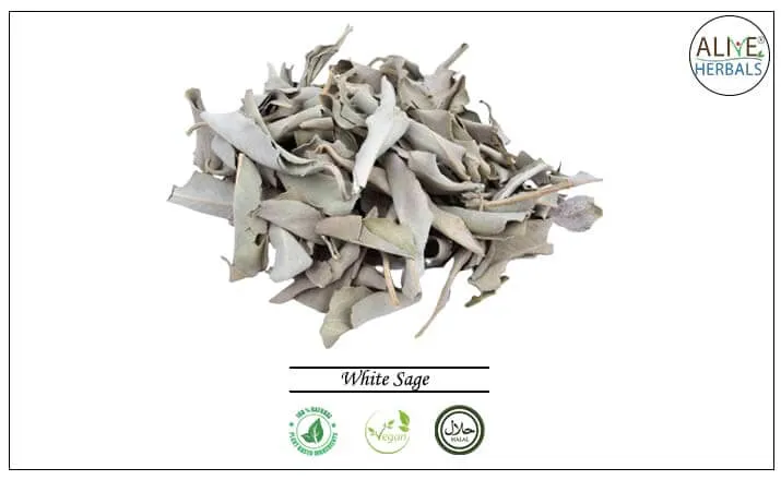 White Sage